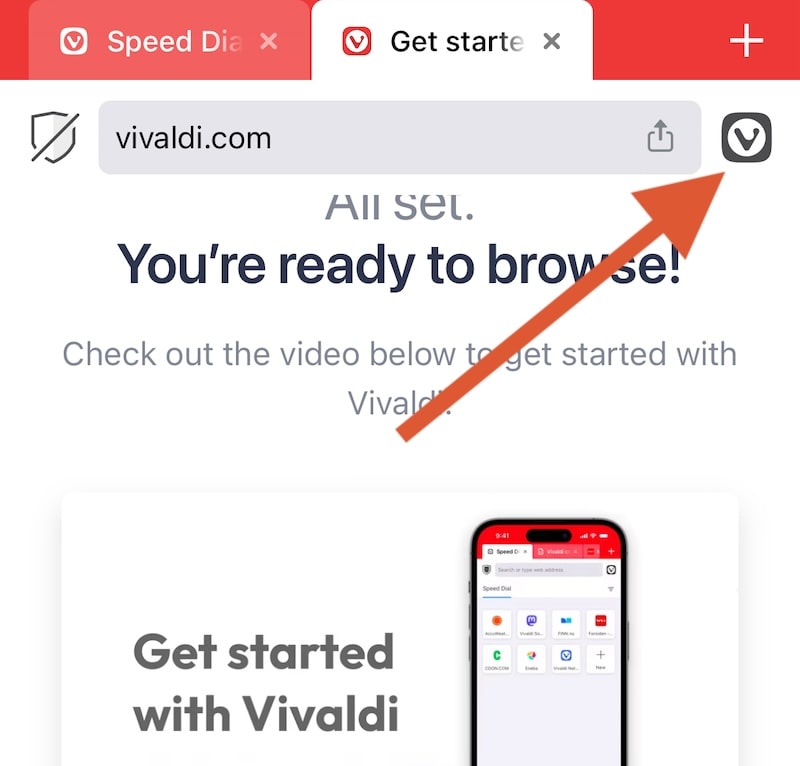 Vivaldi iOS settings menu